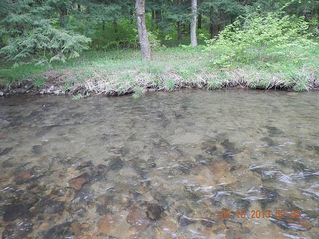 camp 05-17-13 029.jpg -                                